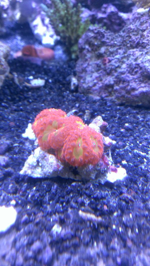 IMAG0386.jpg