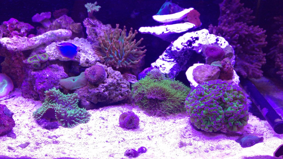 IMAG0388.jpg