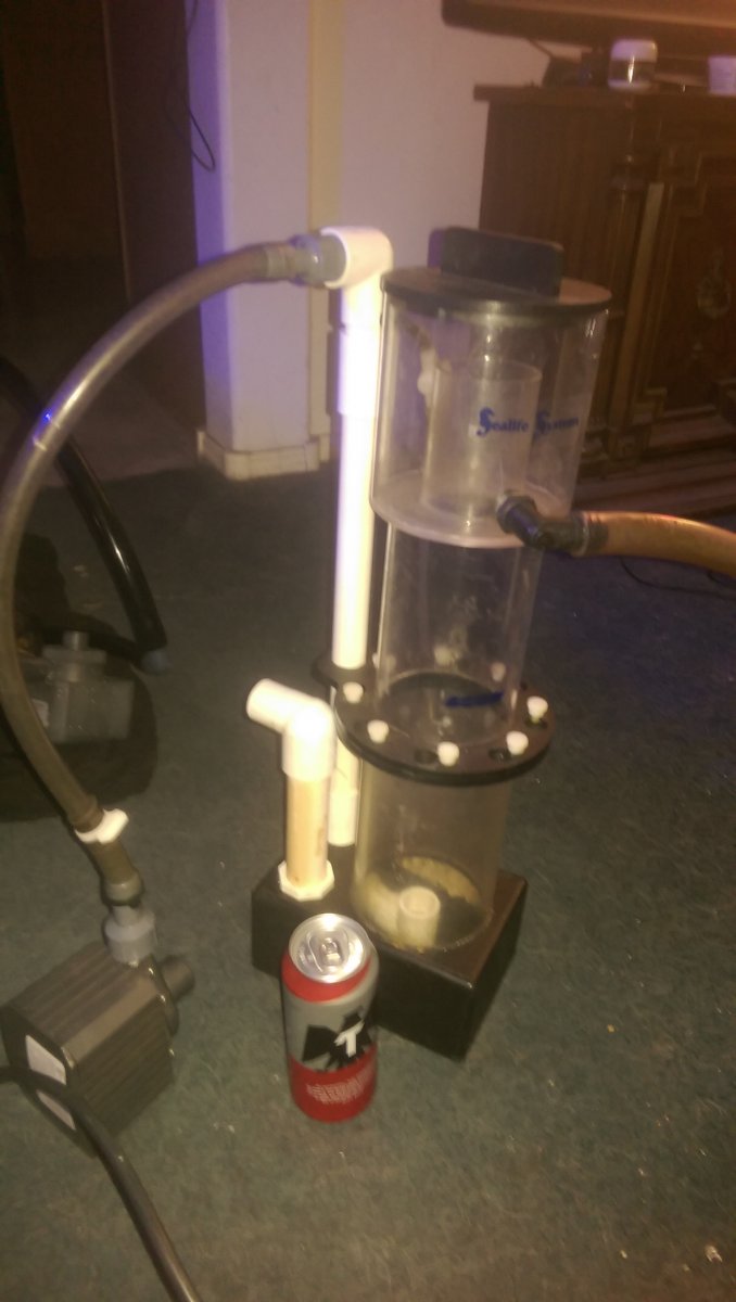 IMAG0403.jpg