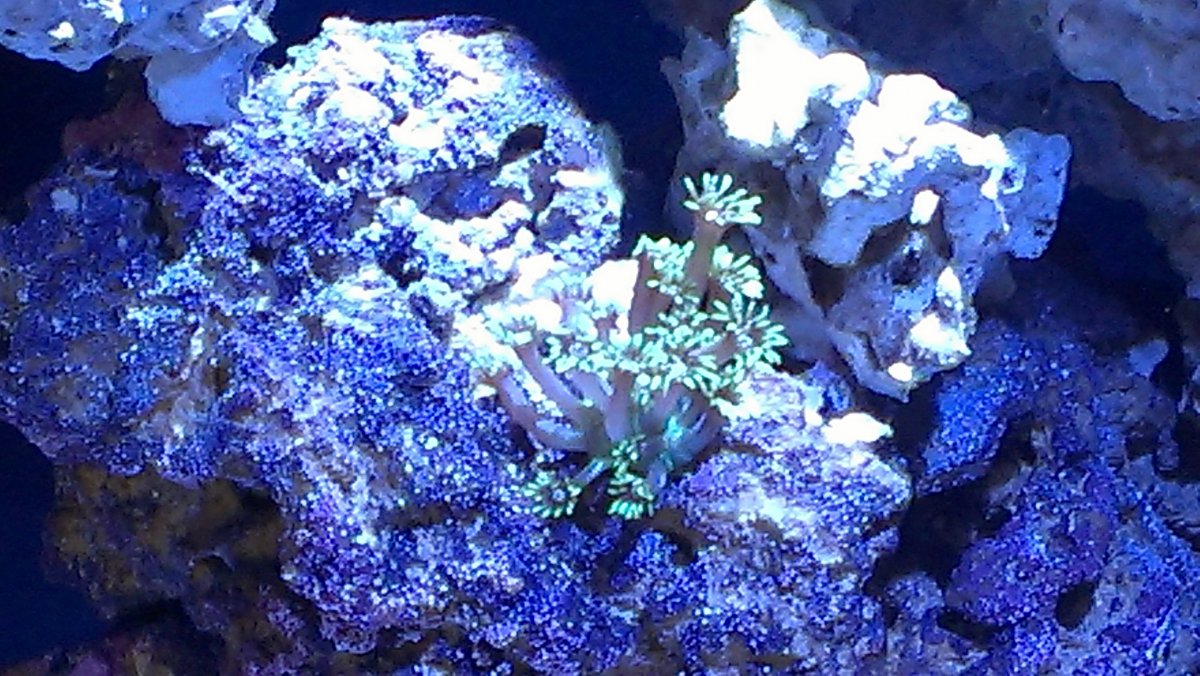 IMAG0405.jpg