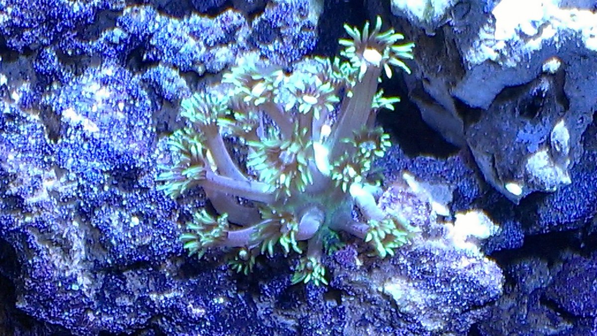 IMAG0408.jpg
