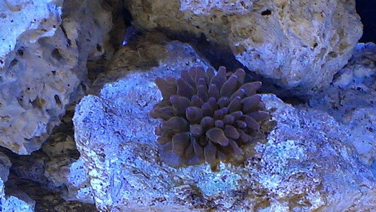 IMAG0412.jpg