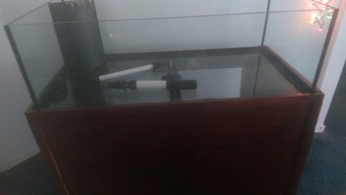 IMAG0419.jpg