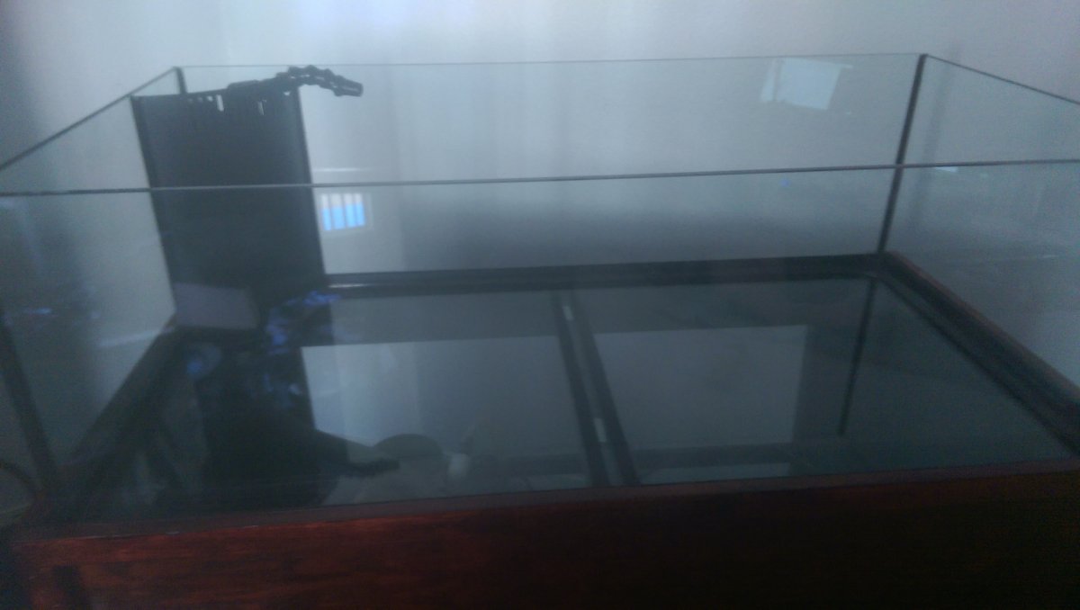 IMAG0428.jpg