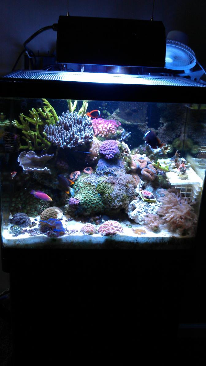 IMAG0432.jpg