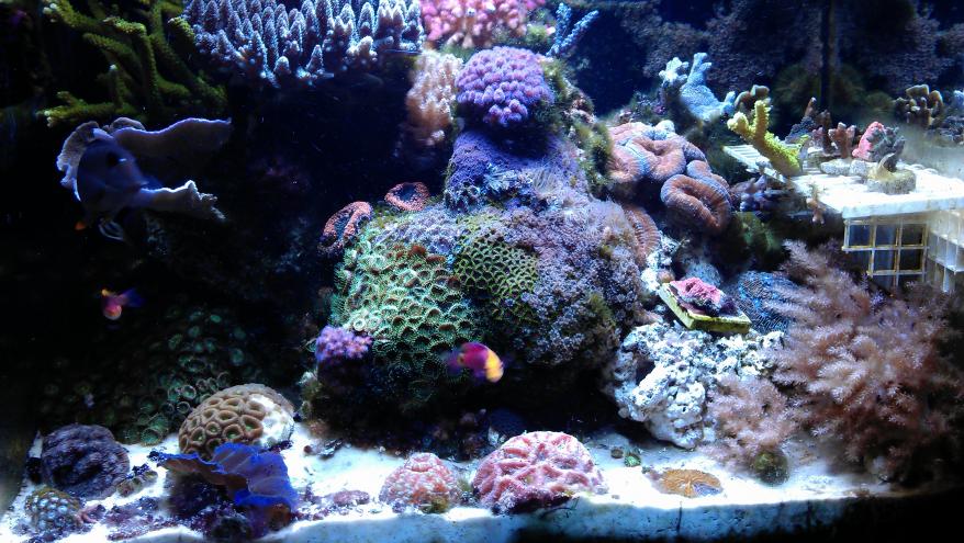 IMAG0435.jpg