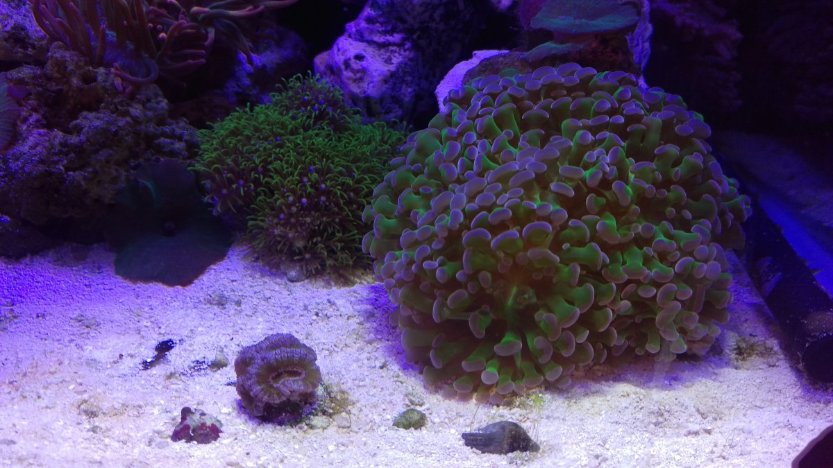 IMAG0436.jpg