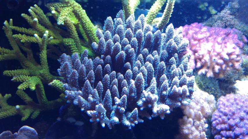 IMAG0436.jpg