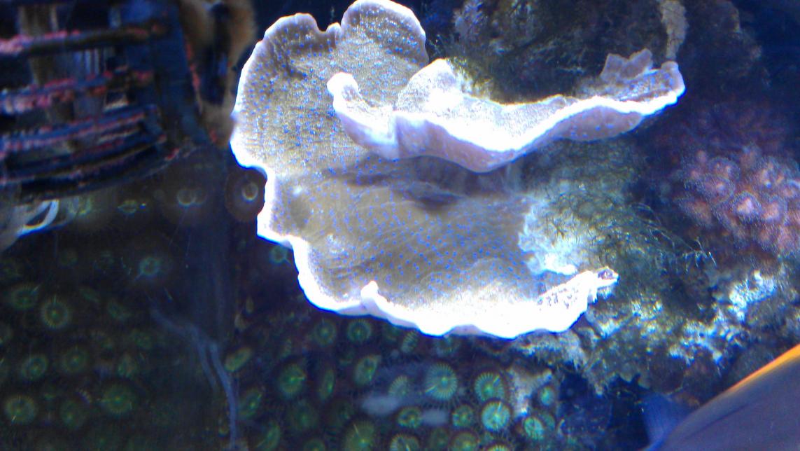 IMAG0437.jpg