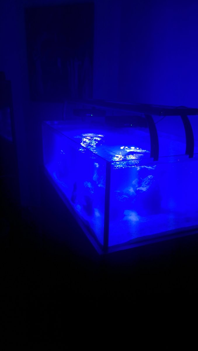 IMAG0438.jpg