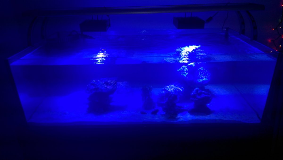 IMAG0439.jpg