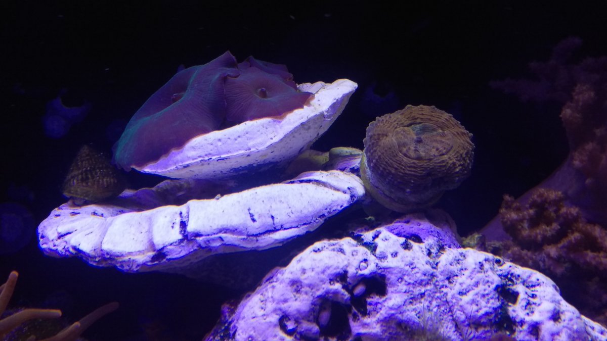 IMAG0443.jpg