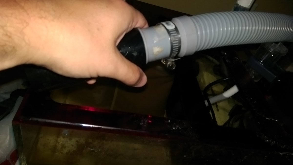 IMAG0446.jpg
