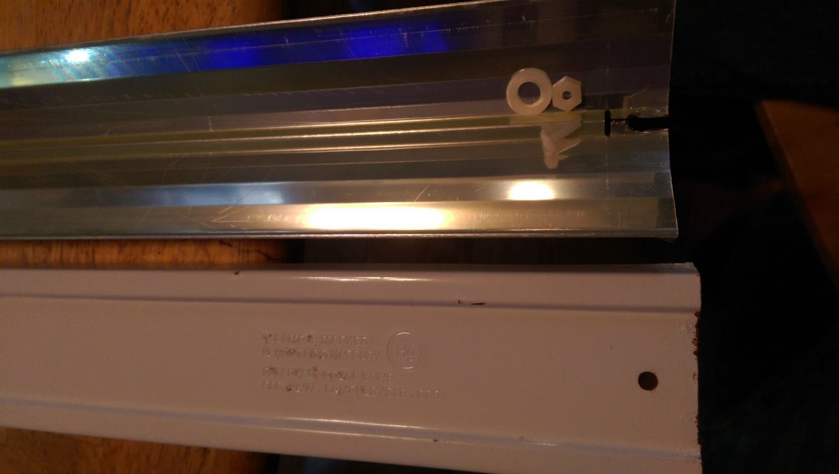 IMAG0471.jpg