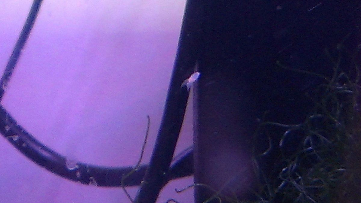IMAG0473.jpg
