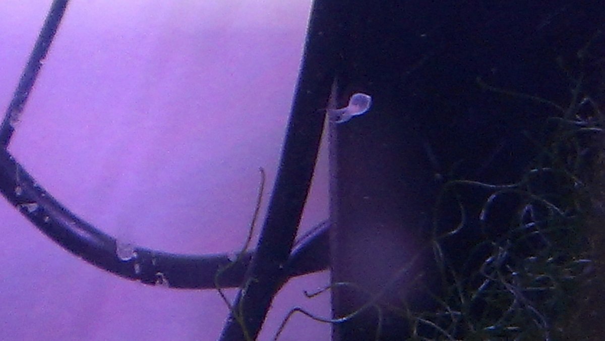 IMAG0474.jpg