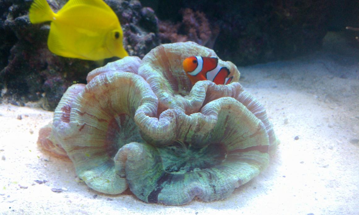 IMAG0486.jpg