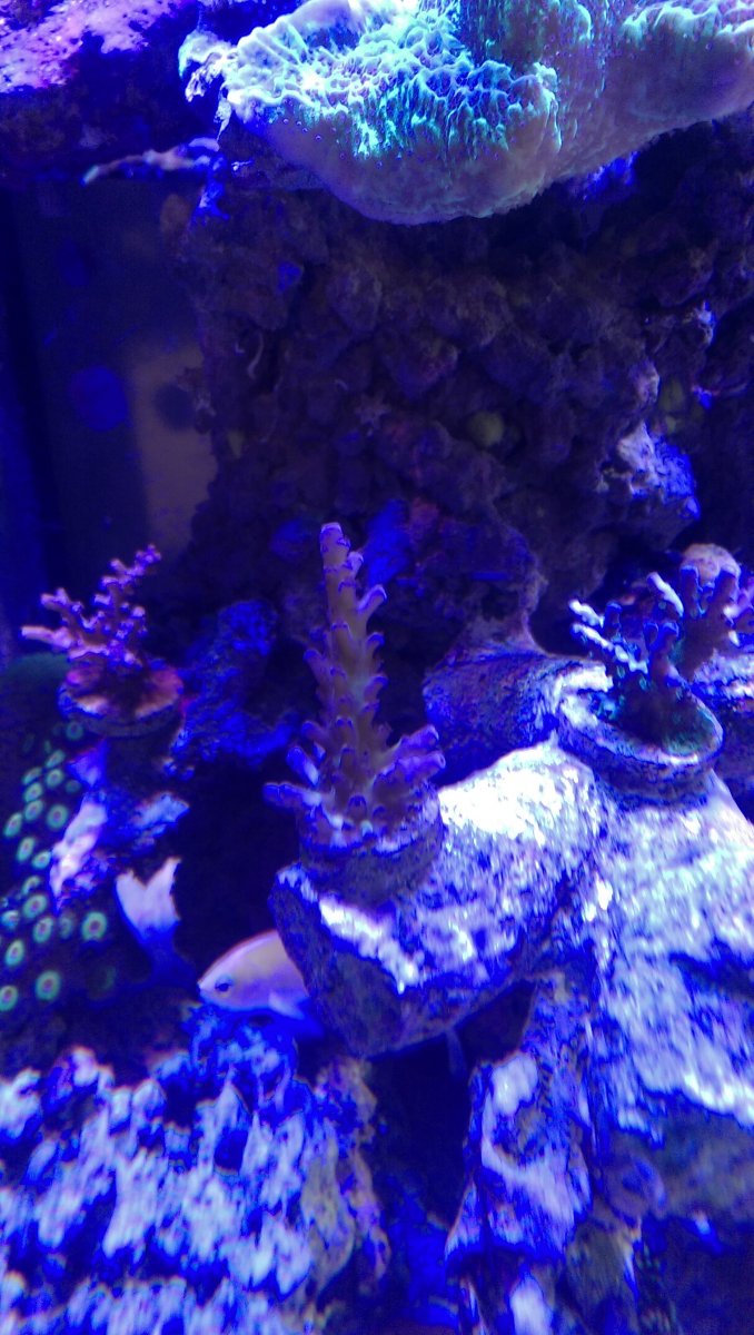 IMAG0496.jpg