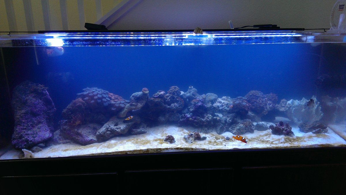 IMAG0500.jpg