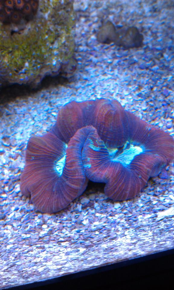 IMAG0506.jpg