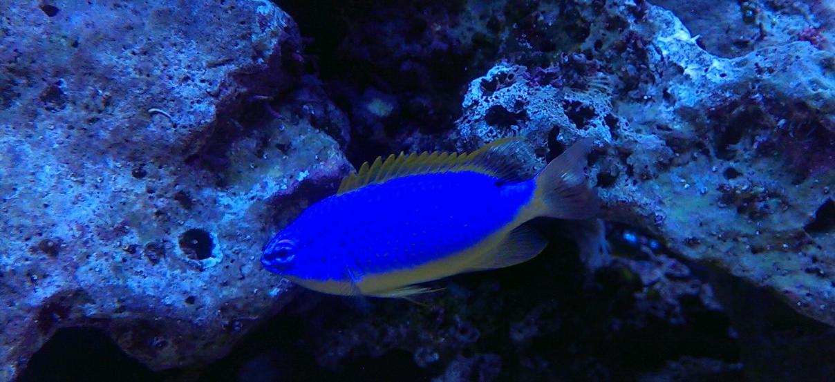 IMAG0517_1.jpg