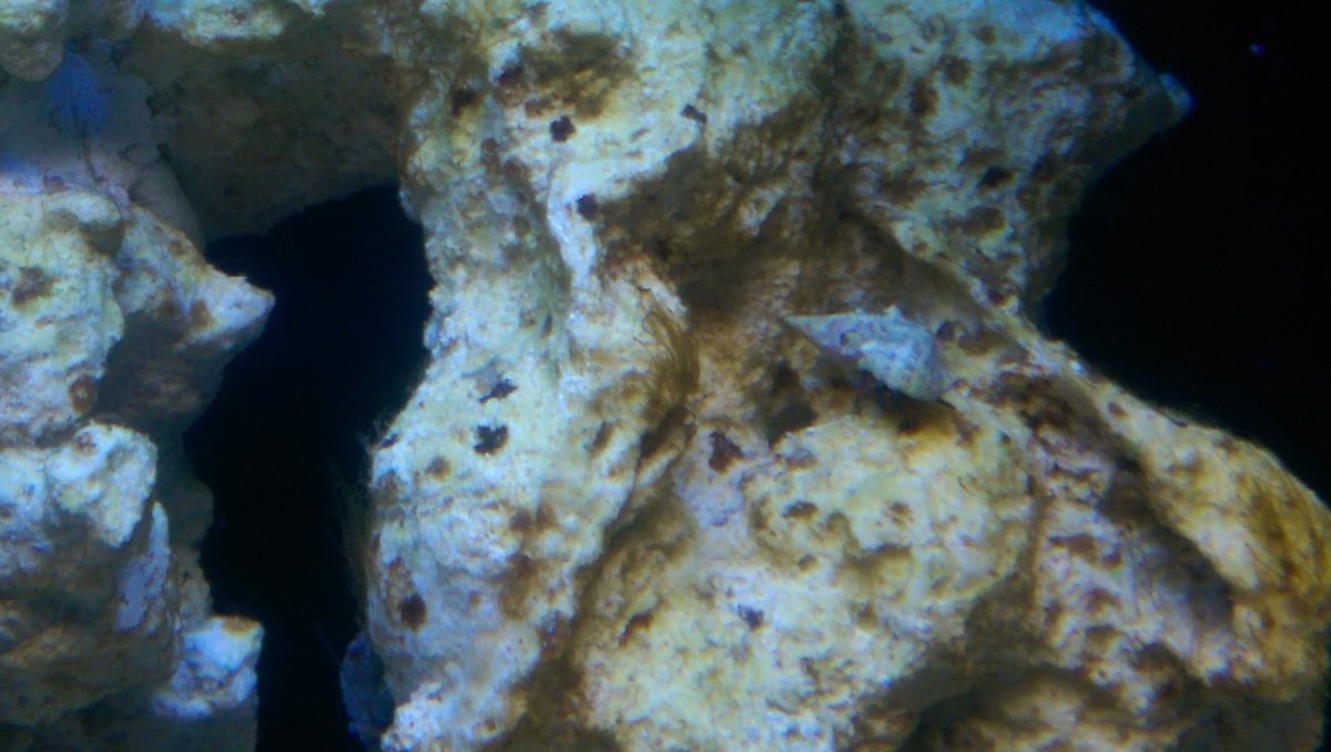 IMAG0526.jpg