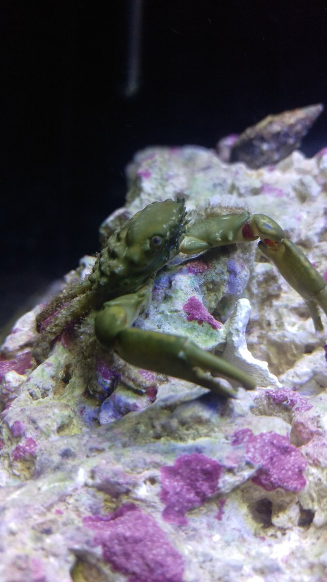 IMAG0555.jpg