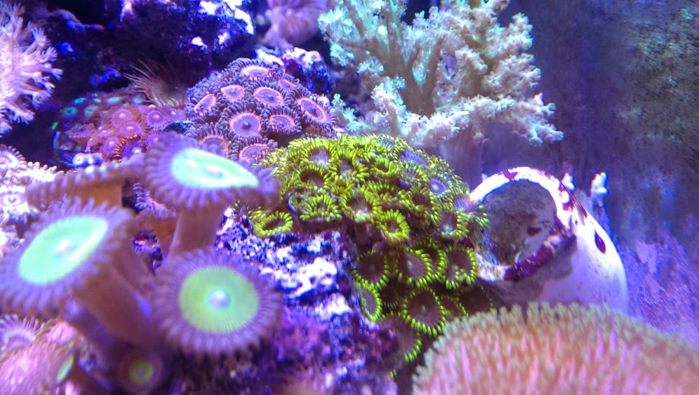 IMAG0568.jpg