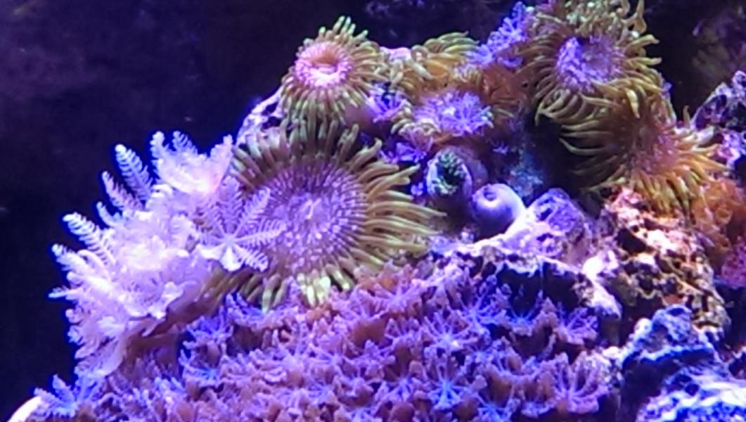 IMAG0570.jpg