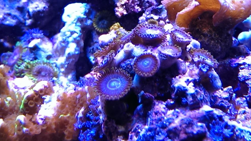 IMAG0574.jpg