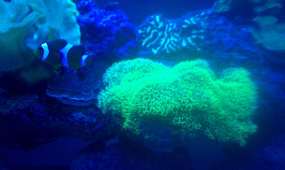 IMAG0578.jpg