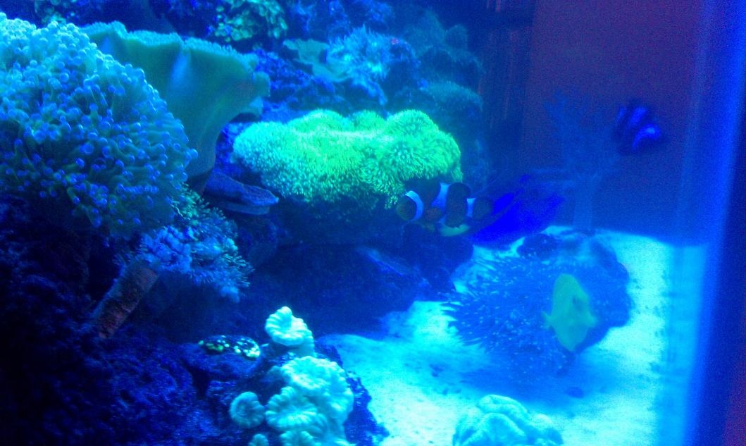 IMAG0584.jpg