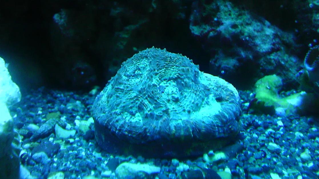 IMAG0603.jpg