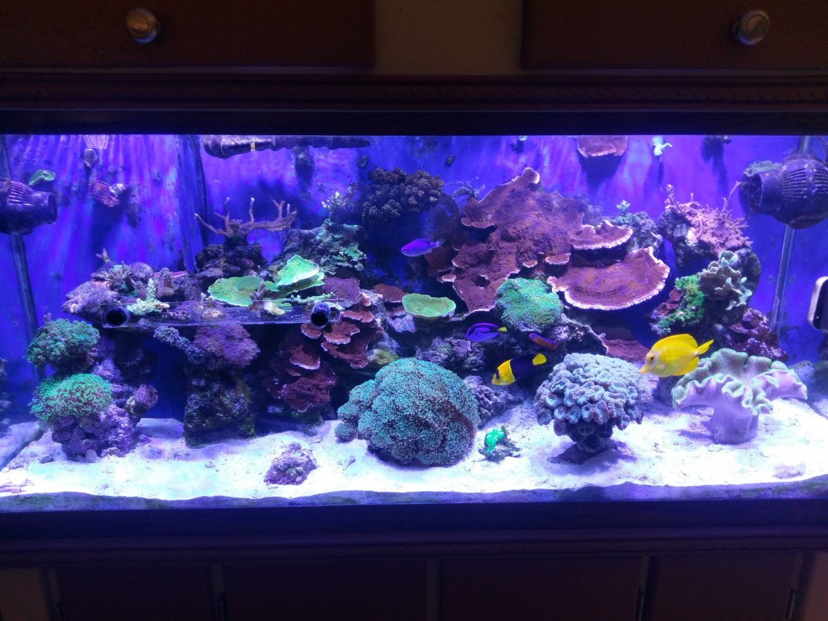 IMAG0611.jpg
