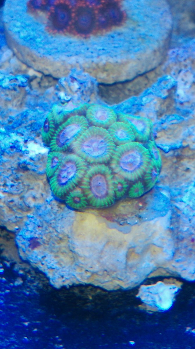 IMAG0630.jpg