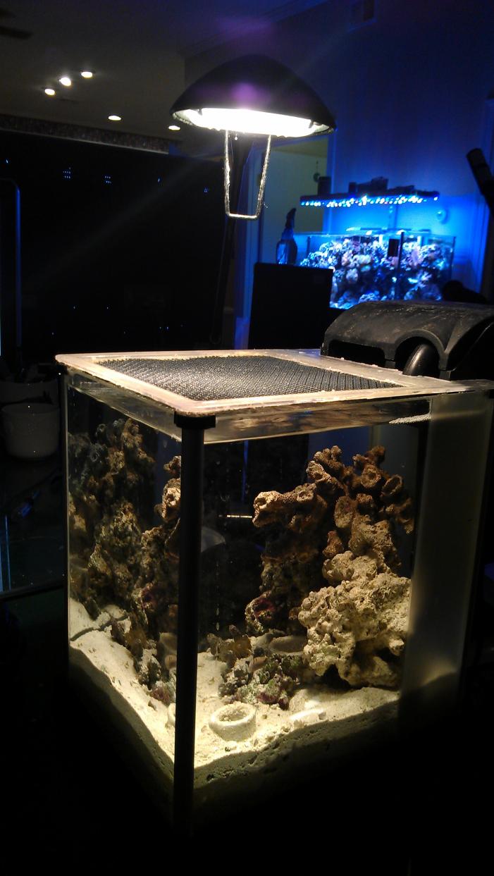 IMAG0646.jpg
