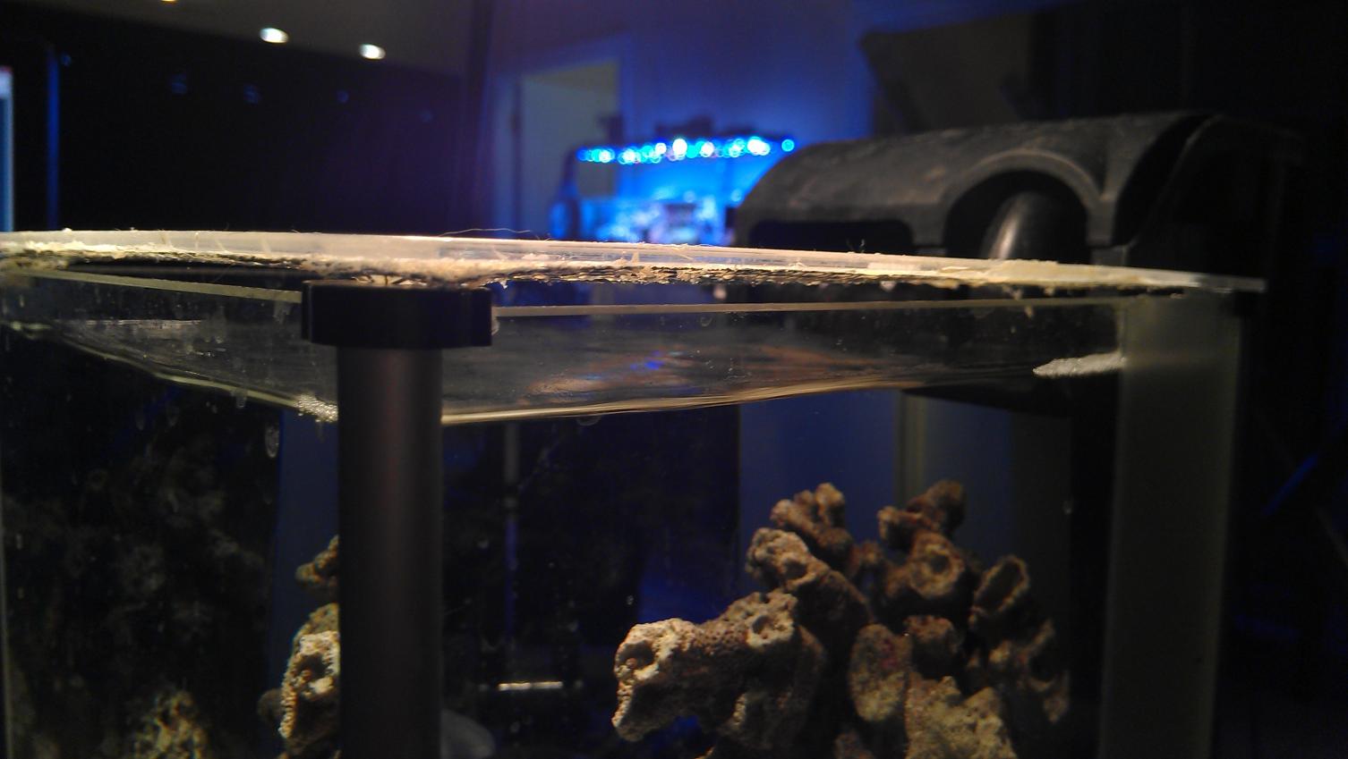 IMAG0647.jpg