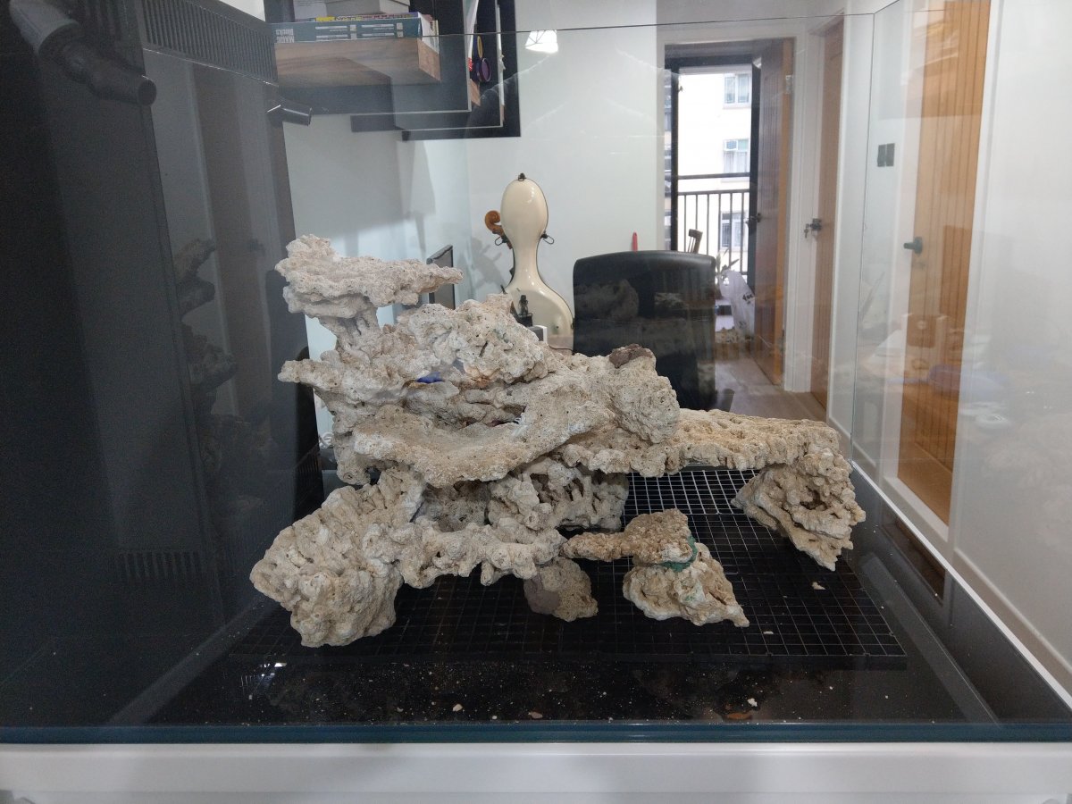 IMAG0649.jpg