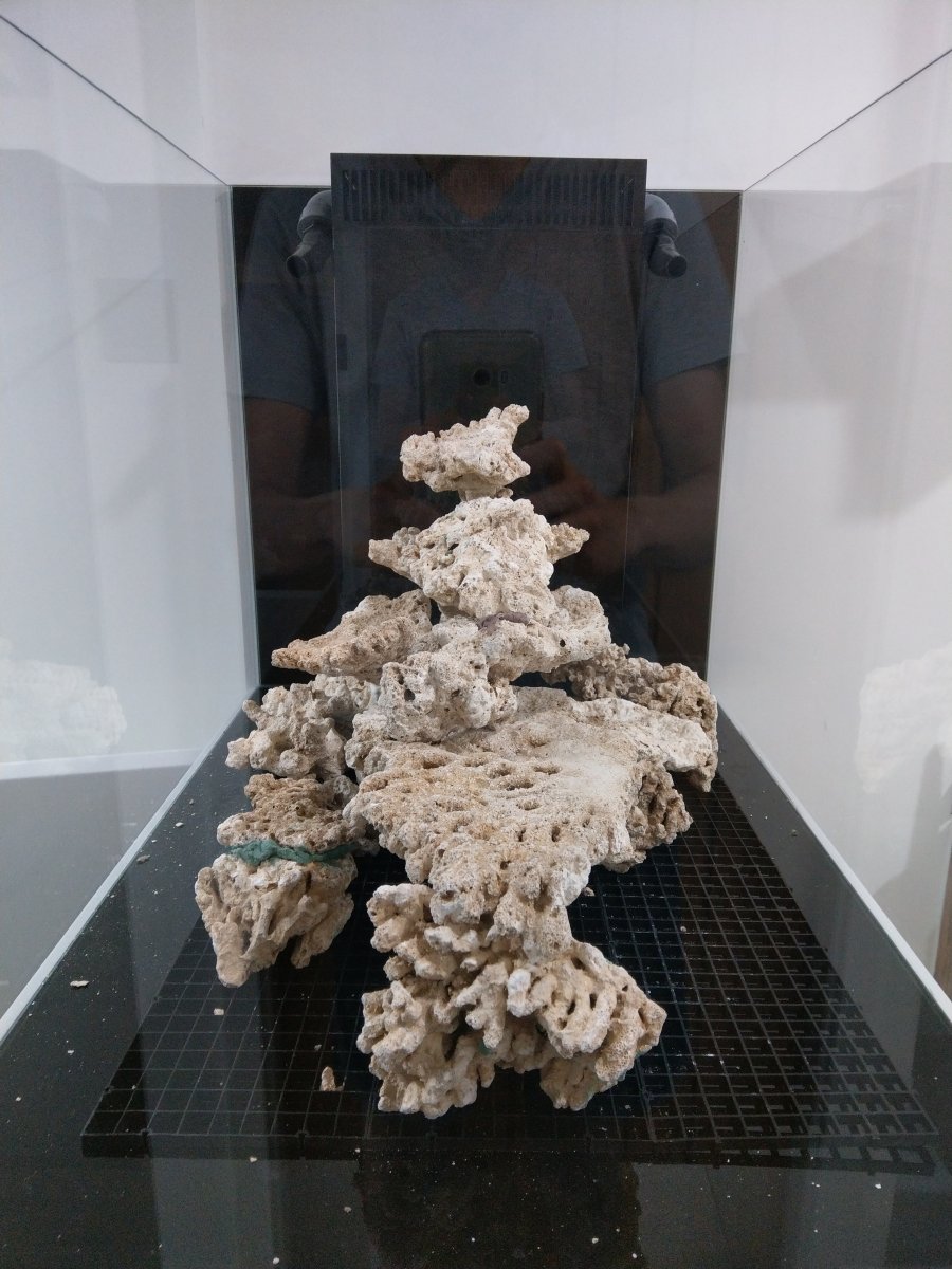 IMAG0650.jpg