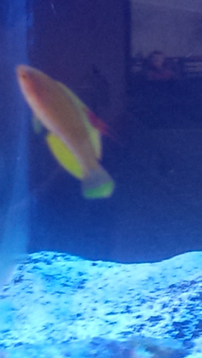 IMAG0655.jpg