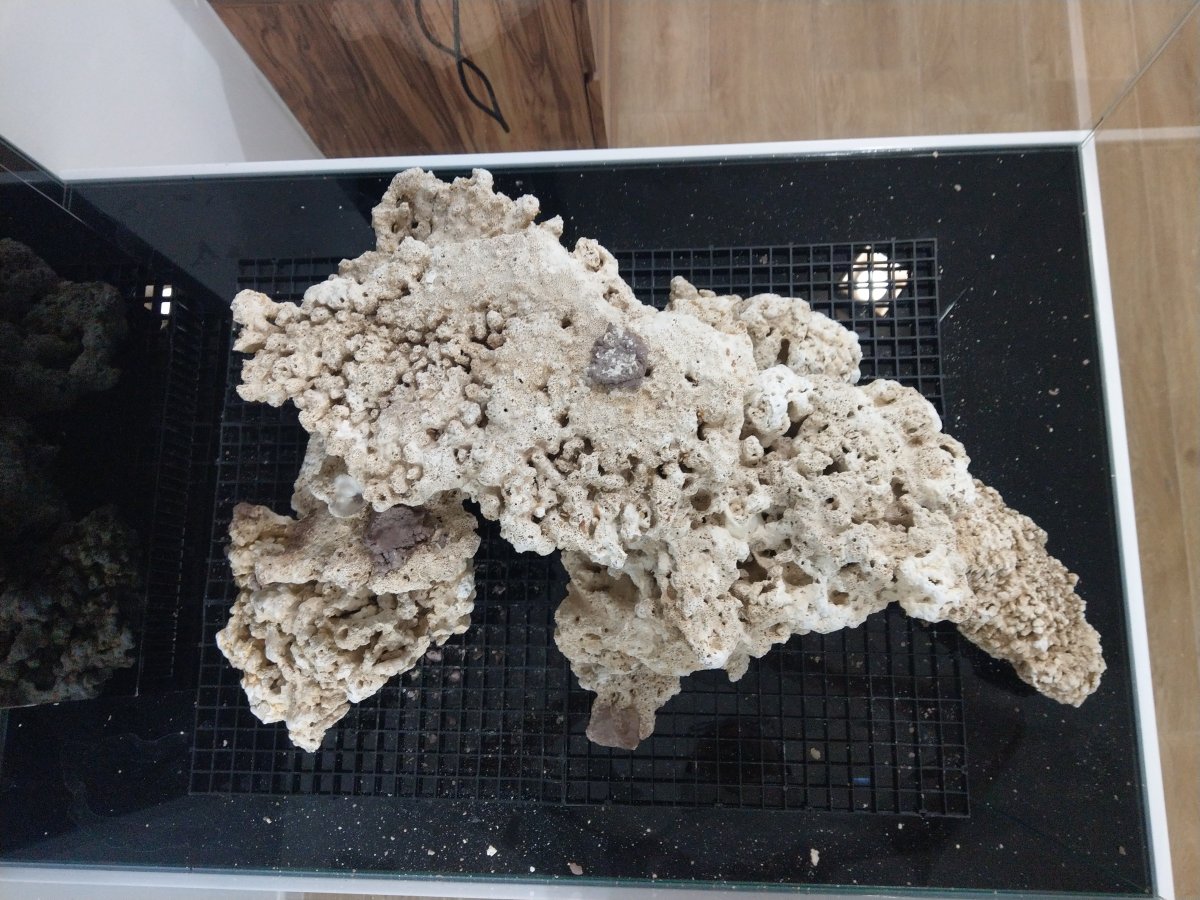 IMAG0656.jpg