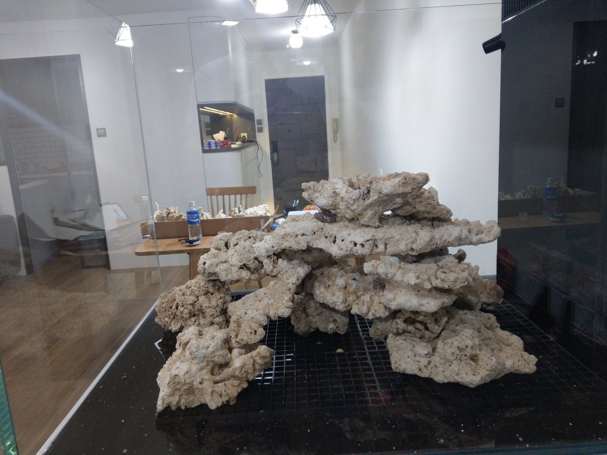 IMAG0661.jpg
