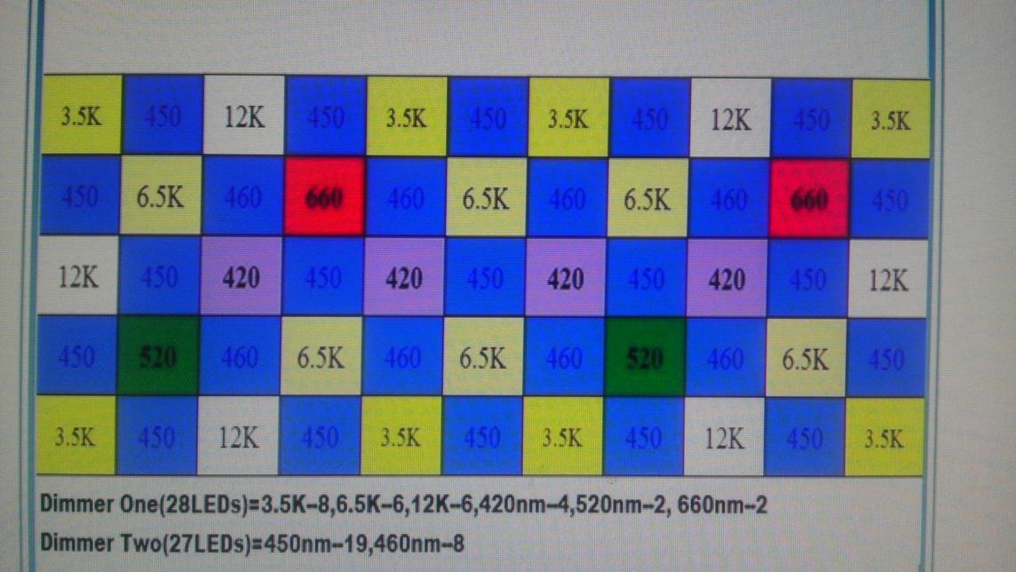 IMAG0663.jpg
