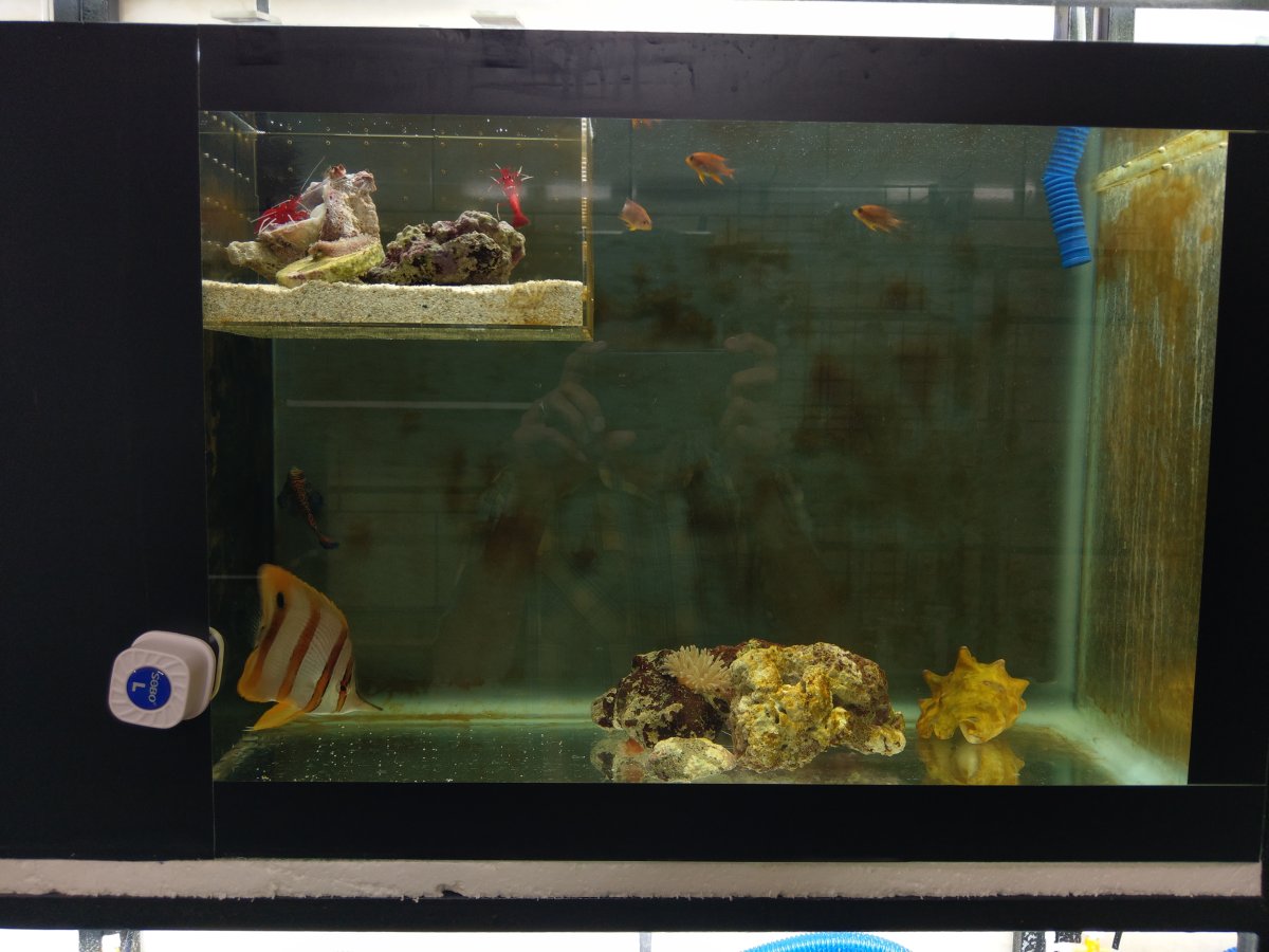Inventions you’ve made for your Reef | Page 2 | Reef2Reef