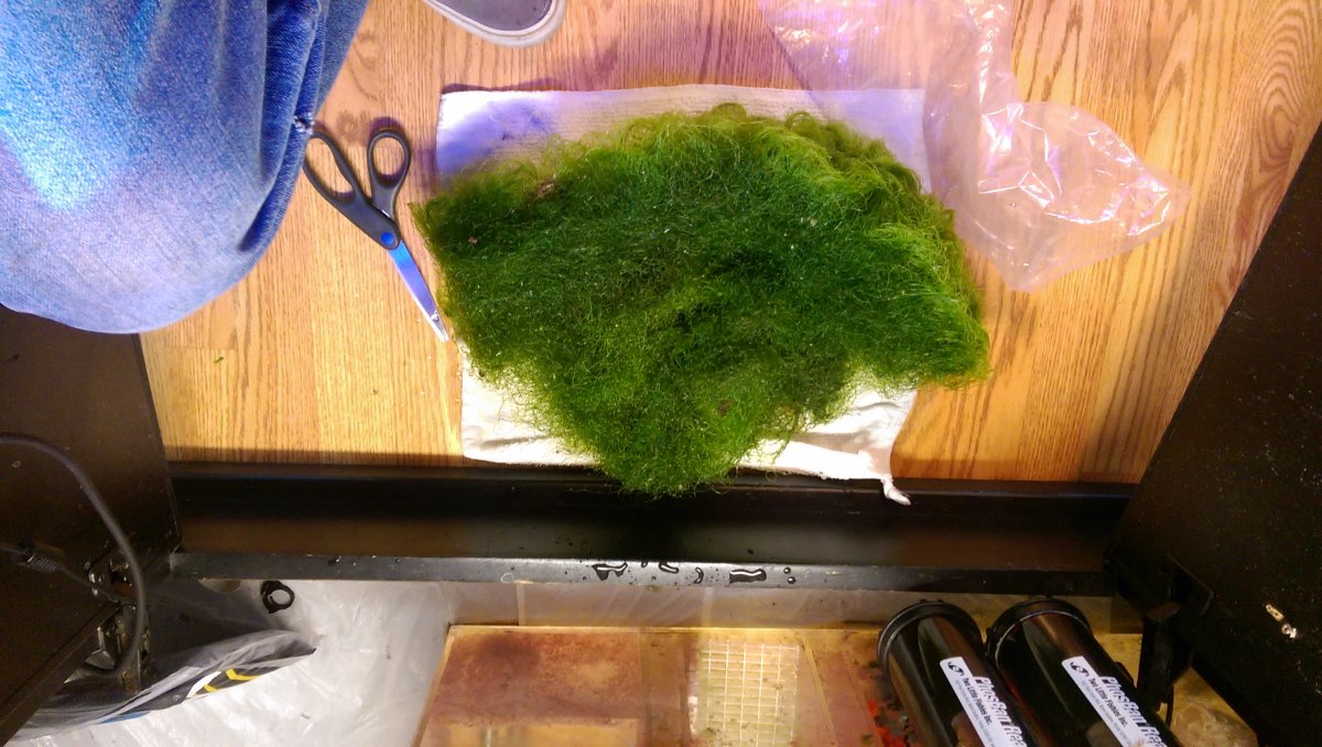 IMAG0666.jpg