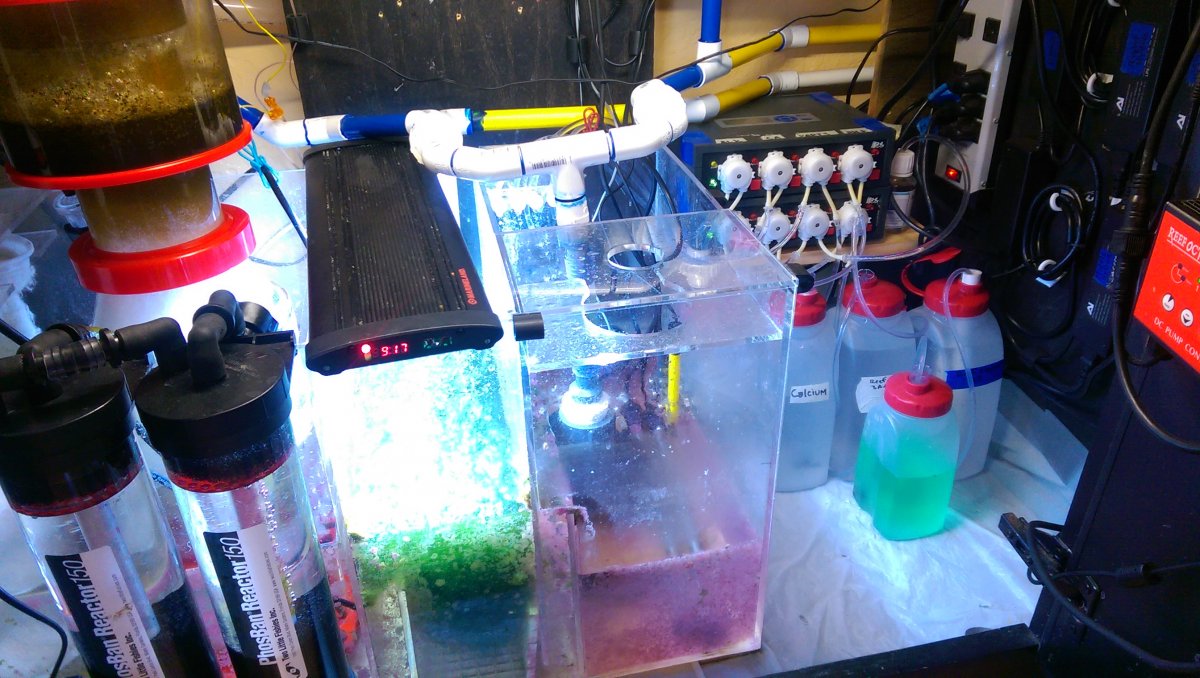 IMAG0674.jpg