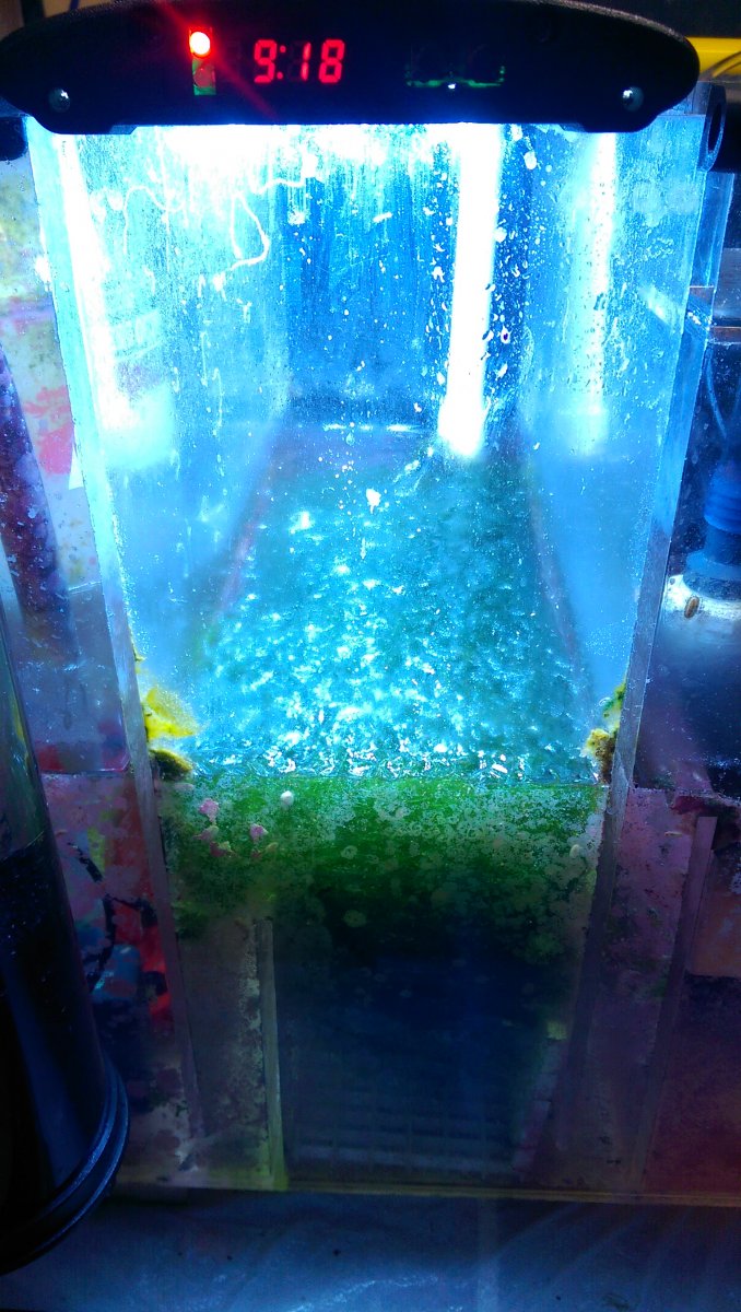 IMAG0675.jpg