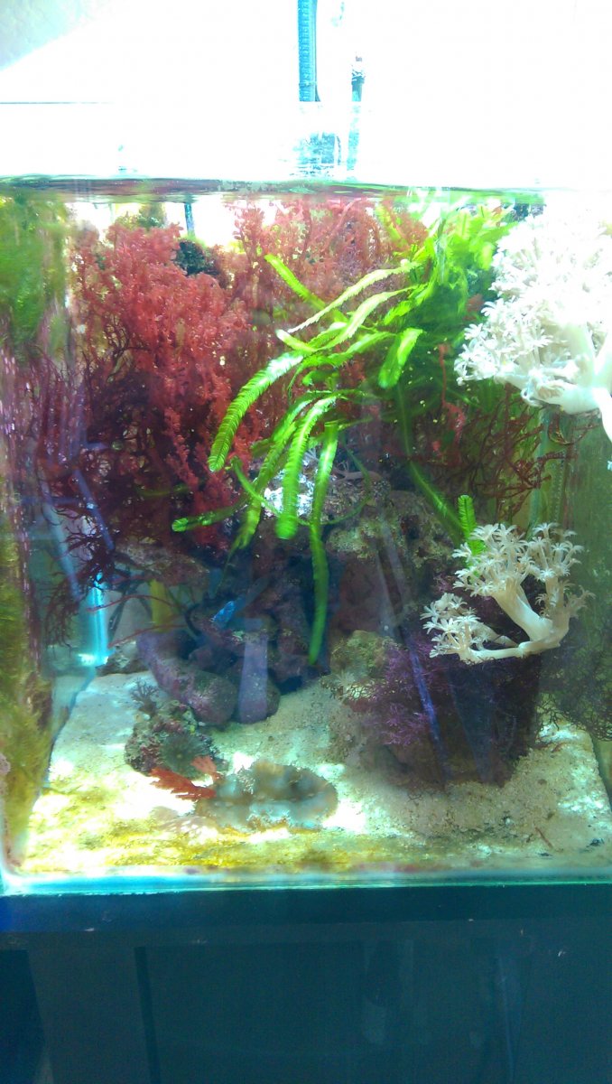 IMAG0677.jpg