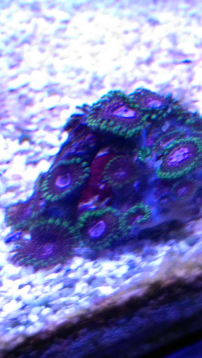 IMAG0697.jpg