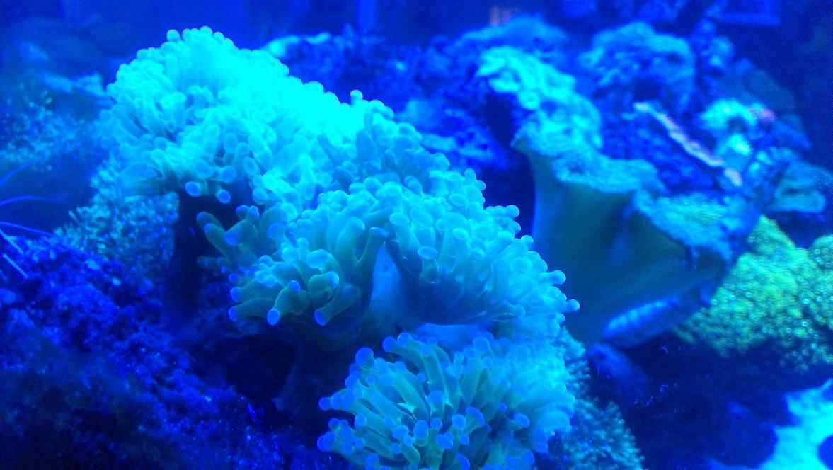 IMAG0714.jpg